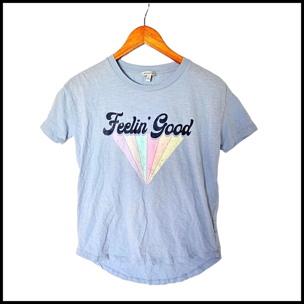Wildfox Retro Feeling Good Graphic Tee Light Blue XS